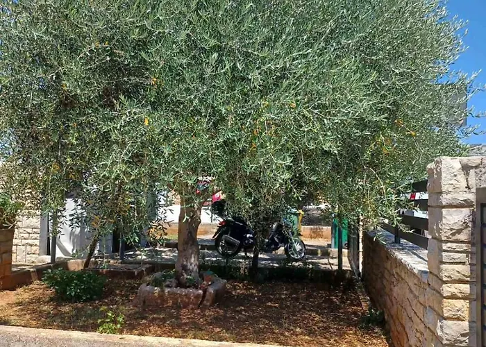 Διαμέρισμα Sanda *