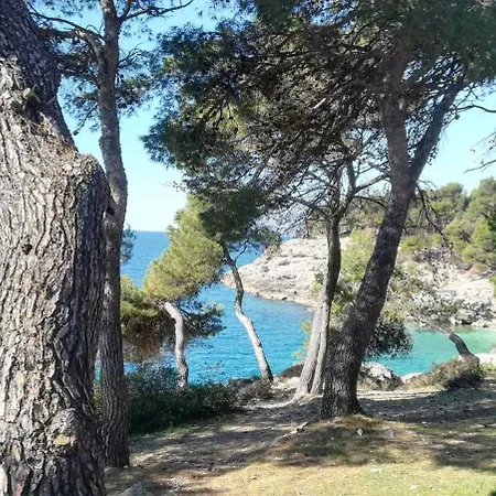 Sanda Appartamento Pola